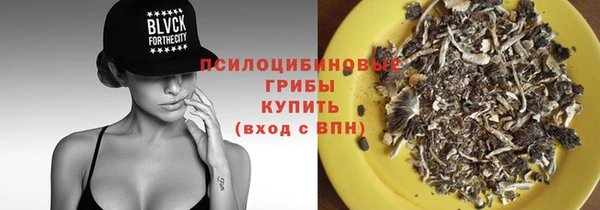 тгк Богородицк
