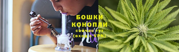 тгк Богородицк