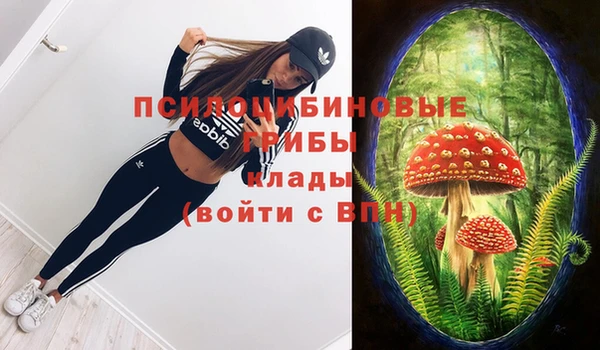 тгк Богородицк