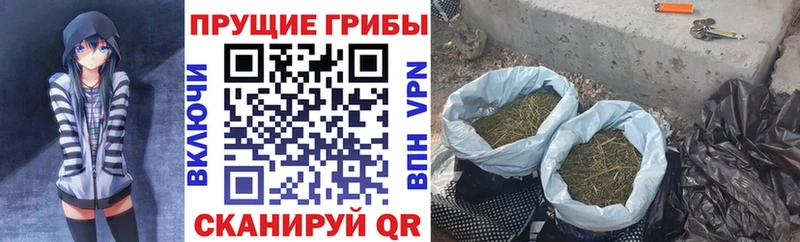 Галлюциногенные грибы мицелий  KRAKEN вход  Микунь 