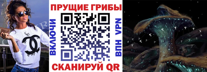 Галлюциногенные грибы Psilocybe Микунь